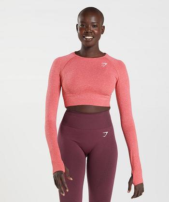 Gymshark Vital Seamless 2.0 Ženske Ošišane Majice Crvene | HR 3660ILH